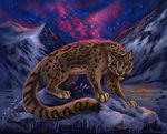  2014 ambiguous_gender blue_eyes detailed_background feline flashw ice mammal night outside paws sky snow solo star tagme winter 
