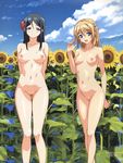  adjusting_hair aqua_eyes arm_behind_back arms_behind_back bangs black_hair blonde_hair blue_eyes breasts flower hair_flower hair_ornament hair_twirling highres kamimura_chika kamimura_haruka long_hair looking_at_viewer medium_breasts mole mole_on_breast multiple_girls navel nipples nude official_art open_mouth outdoors pussy siblings sisters sisters_~natsu_no_saigo_no_hi~ small_breasts smile sunflower swept_bangs 