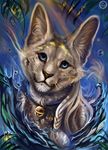  ambiguous_gender bell black_nose blue_eyes braided_hair collar day detailed_background feline feral flashw fur hair looking_at_viewer mammal outside solo water whiskers white_fur white_hair 