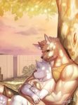  2015 age_difference anthro biceps black_nose brown_eyes brown_fur canine child clothed clothing cloud cuddling detailed_background digital_media_(artwork) duo father father_and_son fur grey_fur hi_res inner_ear_fluff larger_male looking_away male mammal muscular muscular_male older_male outside parent raccoon21 shirt signature size_difference sky smaller_male smile son stitches tank_top tree wolf young younger_male 