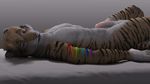  16:9 2016 3d_(artwork) anthro balls blue_eyes digital_media_(artwork) feline fur hair hi_res humanoid_penis looking_at_viewer lying male mammal nipples nude on_back orange_hair penis presenting rainbow solo stripes tiger ty_hanson virtyalfobo wallpaper 