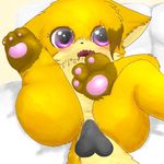  anal anus balls bed blacknose blush butt canine cub cute fartfoxisabelle_(artist) feet fox invalid_tag lying mammal nude on_back penis pillow pink_eyes pointy_ears pussy sex young 