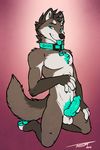  canine canine_genitals collar horny ion-statik13 knot male mammal nude piercing pinup pose solo tsaiwolf wolf 