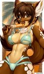  2016 anthro beach bikini brown_eyes brown_fur camel_toe canine clothing dessert dripping female food fur ice_cream licking mammal melting pollo-chan popsicle seaside solo swimsuit tongue tongue_out wolf 