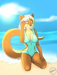  anthro beach breasts clothing cloud female khaleesi kneeling looking_at_viewer mammal mustelid open_mouth otter outside seaside smile solo swimsuit teeth 