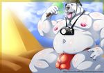  anthro balls bear belly biceps big_biceps black_nose bulge camera clothed clothing cloud cum detailed_background eyewear front_view glasses hand_on_thigh hat hi_res holding_object jewelry low-angle_view male mammal manly mature_male muscular muscular_male necklace nipples open_mouth outside overcross pecs polar_bear precum purple_eyes pyramid relaxing sand sitting sky slightly_chubby solo sunny sweat thong tongue tongue_out topless underwear 