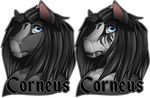  alpha_channel anthro english_text equine facial_markings gard3r horse male mammal markings monochrome multiple_images simple_background solo text transparent_background 