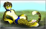  anthro brown_hair bulge clothed clothing collar feline gard3r hair leopard looking_at_viewer male mammal navel smile solo topless underwear 