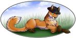  canine feral fox gard3r hat lying male mammal on_front outside smile solo 
