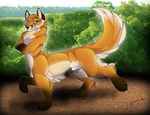  anthro canine crossed_arms fox gard3r looking_at_viewer male mammal nude outside solo standing taur 