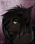  anthro black_fur black_hair canine fur gard3r hair half-closed_eyes looking_at_viewer male mammal simple_background solo 