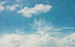  bird blue_sky cloud day light_particles no_humans original peaceful scenery shoutarou_(shoutarotttt) sky tree 