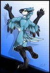  anthro avian backsack balls beak bird blue_jay corvid feathered_wings feathers gard3r looking_at_viewer looking_back male nude open_mouth simple_background smile solo standing tongue wings 
