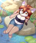  2016 alfa995 amber_eyes anthro breasts cervine clothing deer denim_shorts doe_(alfa995) female hooves lily_pad looking_at_viewer mammal plant rock shorts sitting solo tube_top water 