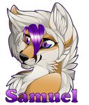  alpha_channel ambiguous_gender anthro canine english_text fox gard3r mammal simple_background smile solo text transparent_background 