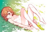  bad_id bad_twitter_id bare_chest blush breasts brown_eyes brown_hair eyebrows eyebrows_visible_through_hair grass looking_at_viewer lying messy_hair misaka_mikoto nipples on_back on_grass panties panty_pull pulled_by_self puma_(hyuma1219) sketch small_breasts solo to_aru_kagaku_no_railgun to_aru_majutsu_no_index topless underwear underwear_only undressing white_panties 