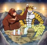  2016 abs alcohol anthro bamboo_fence bath bear bearlovestiger13 beverage biceps butt clothed clothing drunk duo embarrassing feline fur hot_spring juuichi_mikazuki love male male/male mammal morenatsu muscular nude relaxing romantic_couple sake steam tiger topless torahiko_(morenatsu) water 