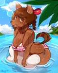  0lightsourced 2015 anthro beach big_breasts bikini blush bow braided_hair breasts brown_eyes brown_fur brown_hair brown_nose canine cleavage clothed clothing cloud dog female fur hair looking_at_viewer mammal nails palm_tree sea seaside short_hair sky smile solo swimsuit thick_thighs tree water 