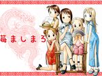  ana_coppola bamboo_steamer baozi barasui blue_eyes blush capri_pants chair china_dress chinese_clothes double_bun dress everyone fan folding_fan food glasses ichigo_mashimaro itou_chika itou_nobue long_hair matsuoka_miu meandros multiple_girls pants ribbon sakuragi_matsuri siblings sisters tea thighhighs waitress wallpaper 