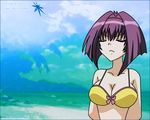  bikini bikini_top karin maaka_karin solo swimsuit vegas_underground wallpaper 