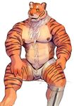  anthro bulge feline iceman1984 male mammal muscular nipples solo tiger 