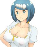  1girl blue_eyes blue_hair blush breasts collarbone creatures_(company) erect_nipples freckles game_freak hairband highres large_breasts long_hair looking_at_viewer milf nintendo nipples no_bra pokemon pokemon_(anime) pokemon_sm_(anime) ribbon-trimmed_shirt see-through shirt short_sleeves smile solo suiren&#039;s_mother_(pokemon) tof upper_body white_hairband 