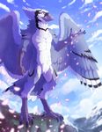  anthro avian beak bird blue_feathers blue_jay corvid feathers featureless_crotch hornedfreak male nude outside sky smile solo standing wings 