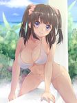  arm_support bikini breasts brown_hair cleavage day hair_ornament hair_scrunchie large_breasts long_hair navel original purple_eyes scrunchie sky smile solo swimsuit tomashuu twintails wet white_bikini 