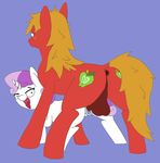  2016 animal_genitalia animal_penis anus balls big_macintosh_(mlp) cub cutie_mark duo earth_pony equine equine_penis female feral friendship_is_magic fur hair hooves horn horse long_hair male male/female mammal multicolored_hair my_little_pony open_mouth penetration penis pony purple_hair pussy sex simple_background size_difference sweetie_belle_(mlp) tongue two_tone_hair unicorn vaginal vaginal_penetration young 