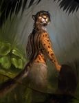  2015 amber_eyes anthro bare_back black_hair cheetah clothed clothing feline hair male mammal outside partially_submerged rhyu solo topless water 