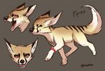  canine eyes_closed fangs fennec feral fox looking_at_viewer lukiri male mammal model_sheet multiple_images open_mouth simple_background smile solo standing teeth tongue 