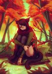  animal_humanoid cat_humanoid clothed clothing eyewear feline female forest glasses humanoid looking_at_viewer lukiri mammal outside sitting solo tree 