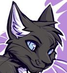  ambiguous_gender black_fur blue_eyes cat feline fur icon mammal simple_background solo whiskers 