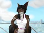  anthro canine clothed clothing female fox jewelry looking_at_viewer mammal navel necklace outside sierra_(sierraex) sierraex smile solo standing 