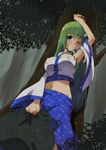  blue_eyes breasts detached_sleeves frog green_hair hair_ornament jpeg_artifacts kochiya_sanae large_breasts long_hair rain sen1986 solo touhou tree 