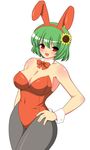  animal_ears bad_id bad_pixiv_id breasts bunny_ears bunny_girl bunnysuit cleavage flower green_hair huge_breasts kazami_yuuka kyokutou_hentai_samurai pantyhose red_eyes short_hair smile solo sunflower thick_thighs thighs touhou 