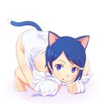  :3 :q all_fours animal_ears bare_shoulders barefoot blue_eyes blue_hair cat_ears cat_tail dress_shirt idolmaster idolmaster_dearly_stars kodaman mizutani_eri naughty_face off_shoulder shirt short_hair sleeves_past_wrists solo tail tongue tongue_out top-down_bottom-up 