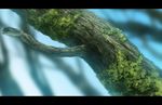  bad_id bad_pixiv_id blurry branch close-up depth_of_field letterboxed moss no_humans original realistic scenery tree 