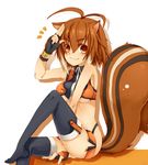  animal_ears blazblue breasts brown_eyes brown_hair gloves makoto_nanaya medium_breasts midriff orange_skirt revealing_clothes skirt smile solo squirrel_ears squirrel_tail tail underboob uzukinoko 