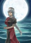  bad_id bad_pixiv_id blue_eyes braid full_moon hat highres konoe_yuba long_hair moon nurse_cap solo touhou yagokoro_eirin 