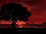  animal artist_request bird cloud cloudy_sky copyright_name english enma_ai grass highres jigoku_shoujo long_hair mountain on_ground outdoors red_sky river scenery silhouette sitting sky standing sun sunset tree under_tree wallpaper 