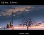  5_centimeters_per_second bench power_lines shinkai_makoto shinohara_akari sitting solo sunset telephone_pole tree 
