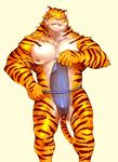  anthro bulge clothing feline fundoshi iceman1984 japanese_clothing male mammal muscular nipples tiger underwear 