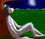  alex_(jdwar) anthro black_hair creating_art feline fur hair jdwar leopard male mammal moon nature night nude outside reclining sitting smile snow_leopard tasteful_nudity 