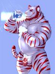  anthro balls feline iceman1984 male mammal muscular penis tiger white_tiger 
