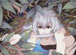  bandeau black_bikini_bottom blurry brown_eyes bush collarbone depth_of_field grey_hair hair_between_eyes highres holding holding_knife kneeling knife leaf mouth_hold noraico original ripples slit_pupils solo water water_drop 