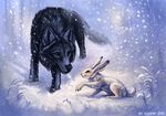  ambiguous_gender black_fur black_nose canine day detailed_background duo eye_contact feral flashw fur green_eyes lagomorph mammal outside paws rabbit sitting snow snowing standing white_fur winter wolf 