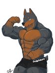  abs armpits biceps blue_eyes boxers_(clothing) canine clothing doberman dog flexing invalid_tag male mammal muscular open_mouth pecs phoom pose shorts smile solo underwear 