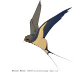  2015 ambiguous_gender avian barn_swallow beak biped bird black_eyes blue_feathers blue_tail blue_wings countershade_tail countershade_torso countershade_wings countershading digital_drawing_(artwork) digital_media_(artwork) feathered_wings feathers feral flying forked_tail full-length_portrait grey_feathers grey_wings hirundinid jamminbison multicolored_feathers multicolored_wings portrait red_feathers simple_background solo suspended_in_midair swallow_(bird) tail_feathers tan_beak tan_countershading tan_feathers tan_tail tan_wings toony two_tone_tail url white_background winged_arms wings 