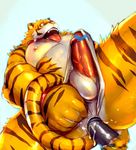  anal anthro balls clothing erection feline iceman1984 male mammal nipples penis tiger tongue underwear 